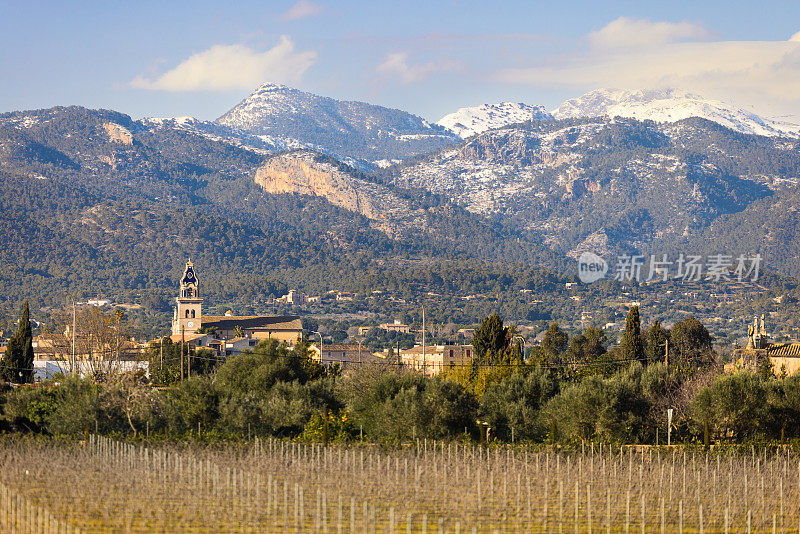 小村庄Santa Maria del camí后面雪山的美丽景色，前景是藤蔓植物